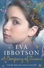 Eva Ibbotson: A Company of Swans