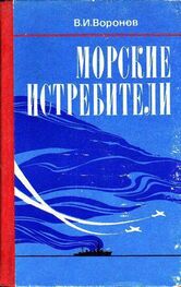 Владимир Воронов: Морские истребители