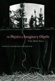 Tina Hal: The Physics of Imaginary Objects