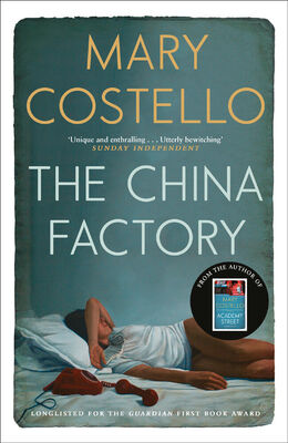 Mary Costello The China Factory