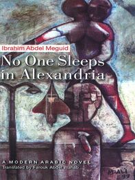 Ibrahim Meguid: No One Sleeps in Alexandria