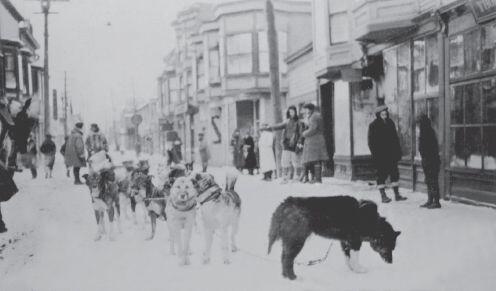 Nome in the early 1900s The dark colored dog standing broadside to the - фото 5