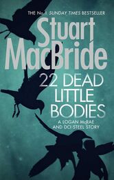 Stuart MacBride: 22 Dead Little Bodies