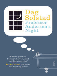 Dag Solstad: Professor Andersen's Night