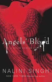 Налини Сингх: Кровь ангелов