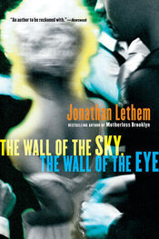 Jonathan Lethem: The Wall of the Sky, the Wall of the Eye
