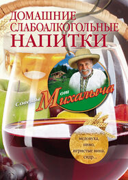 Николай Звонарев: Домашние слабоалкогольные напитки. Медовуха, пиво, игристые вина, сидр…