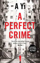 A Yi: A Perfect Crime