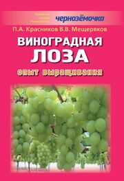 Петр Красников: Виноградная лоза. Опыт выращивания