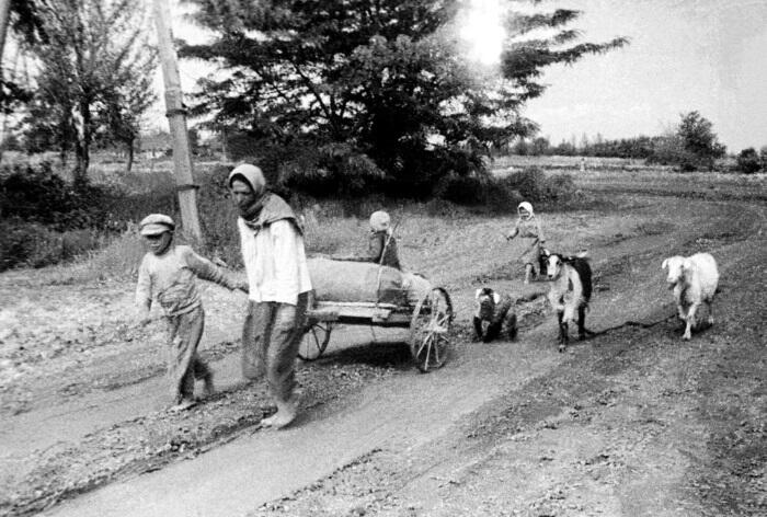 Мать с детьми покидают родное село 1942 г АвторВладимир Иванов ТАСС На - фото 168