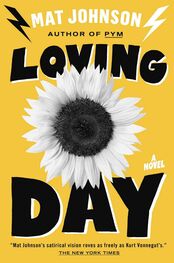 Mat Johnson: Loving Day