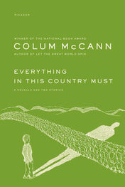 Colum McCann: Everything in This Country Must