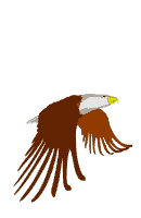 Орел по имени Онисим ширококрыл и независим летает выше снежных гор с ним - фото 8