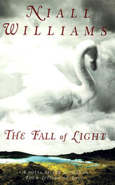 Niall Williams: The Fall of Light