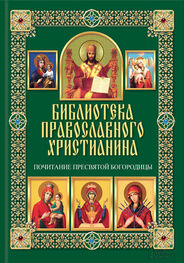 Павел Михалицын: Почитание Пресвятой Богородицы