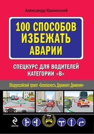 Александр Каминский: 100 способов избежать аварии. Спецкурс для водителей категории В