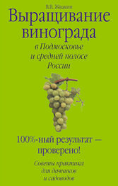 Виктор Жвакин: Выращивание винограда в Подмосковье и средней полосе России
