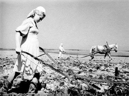 Вспашка земли Весна 1942 г В этих тяжелейших условиях враг планирует под - фото 9