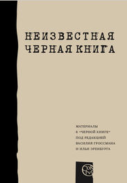 Илья Альтман: Неизвестная «Черная книга»