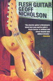 Geoff Nicholson: Flesh Guitar