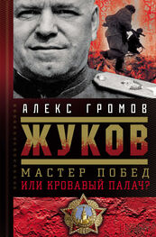 Алекс Громов: Жуков. Мастер побед или кровавый палач?