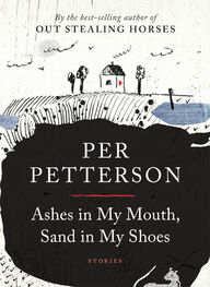 Per Petterson: Ashes in My Mouth, Sand in My Shoes