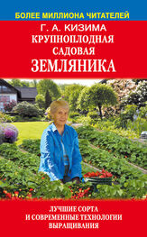 Галина Кизима: Крупноплодная садовая земляника. Лучшие сорта и современные технологии выращивания