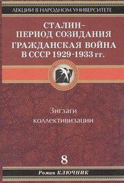 Роман Ключник: Сталин - период созидания. Гражданская война в СССР 1929-1933 гг. Том 8.