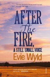 Evie Wyld: After the Fire, A Still Small Voice