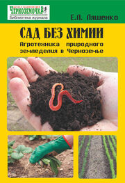 Е. Ляшенко: Сад без химии. Агротехника природного земледелия в Черноземье