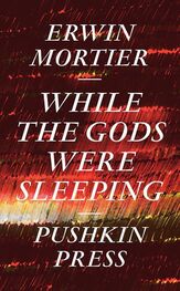 Erwin Mortier: While the Gods Were Sleeping