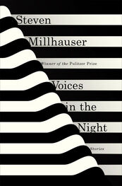 Steven Millhauser: Voices in the Night: Stories