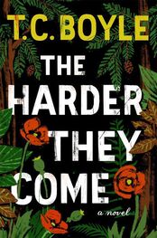 T. Boyle: The Harder They Come