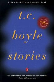 T. Boyle: T. C. Boyle Stories