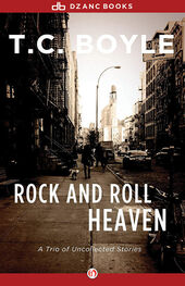 T. Boyle: Rock and Roll Heaven: A Trio of Uncollected Stories
