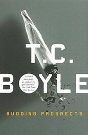 T. Boyle: Budding Prospects