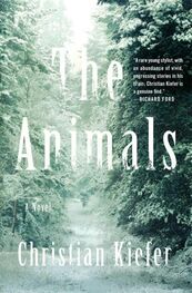 Christian Kiefer: The Animals