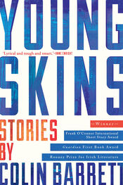 Colin Barrett: Young Skins: Stories