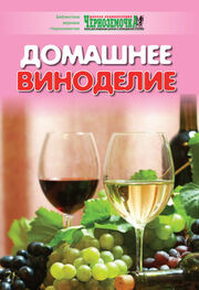 А. Панкратова: Домашнее виноделие