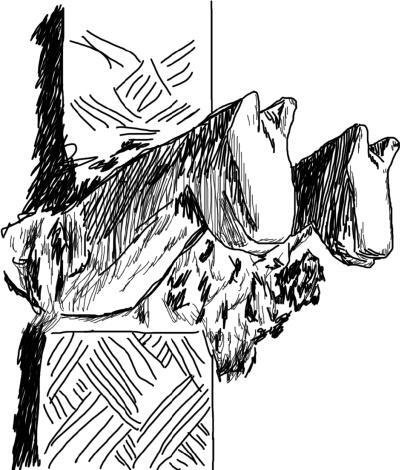 Рис 8 Идол с изображениями двух коней Народность калаши Там где правит - фото 8