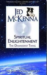 Джед Маккена: Духовное просветление: прескверная штука