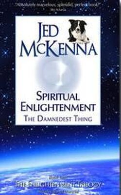 Джед Маккена Духовное просветление: прескверная штука