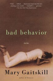 Mary Gaitskill: Bad Behavior