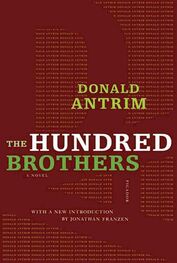 Donald Antrim: The Hundred Brothers