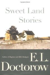 E. Doctorow: Sweet Land Stories