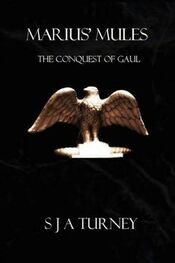S. Turney: The conquest of Gaul