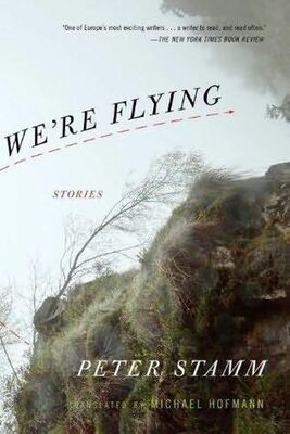 Peter Stamm We're Flying