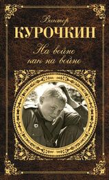 Виктор Курочкин: На войне как на войне (сборник)