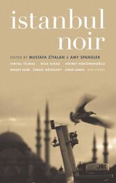 Yasemın Aydinoğlu: Istanbul Noir