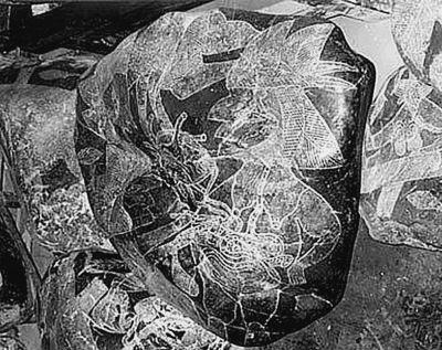 Камень из Ики с изображением операции Камни уложены в строгом порядке и судя - фото 1